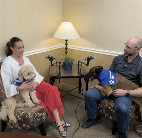 Gallery Image View_recent_photos_4.png