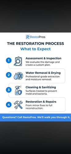 The Restoration Process!