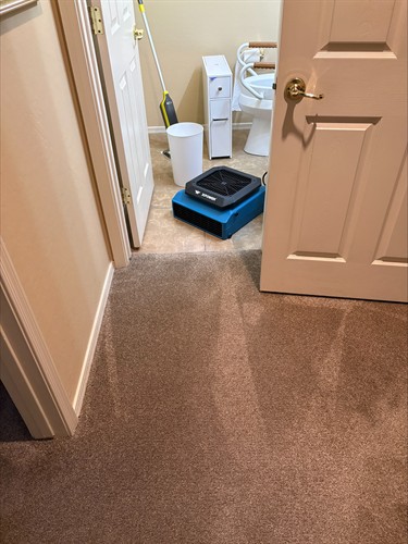 The equipment that delivers for us!