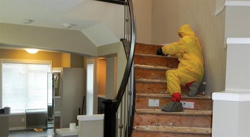 Gallery Image clean_-4_(1).jpg