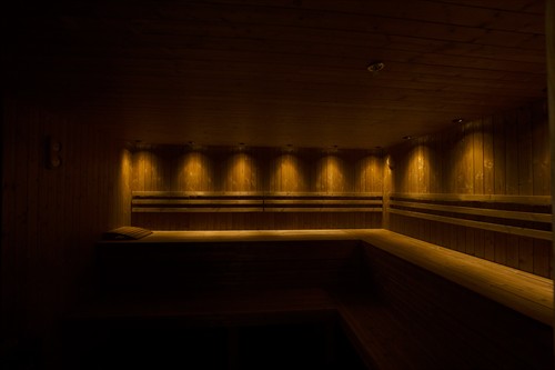 The Sauna