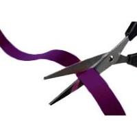 Ribbon Cutting - Via Linda Salon