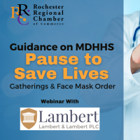 Guidance on MDHHS Pause to Save Lives Order