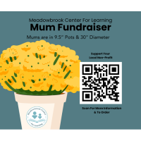 Mum Fundraiser- Meadowbrook Center for Learning