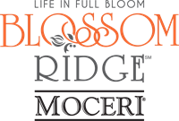 Holiday Concert by Motor City Chorale at Blossom Ridge
