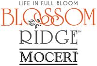 Holiday Brunch at Blossom Ridge
