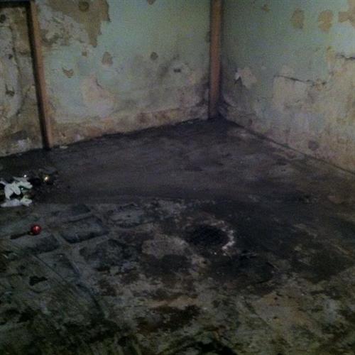 Mold can spread throughout a property in as little as 48-72 hours,If you suspect that your home or business has a mold problem,  we can inspect and assess your property