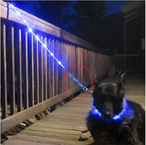 Better safe than sorry. Make sure drivers see you coming. Get the Gleash and Pet Flashlight  from DC's LEDs'