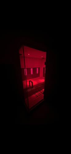Infrared Sauna Plus Red Light Therapy