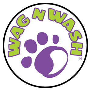 Wag N Wash Rochester