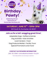 Central Bark 1 Year Anniversary Pawty