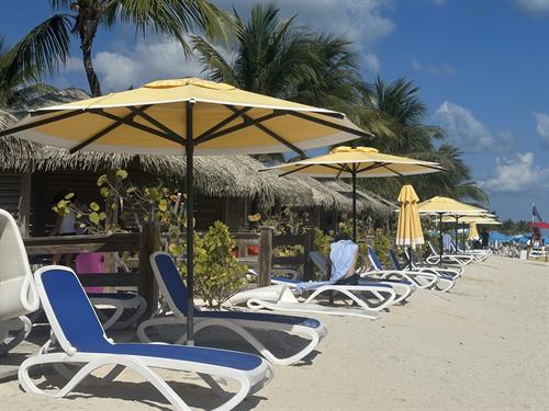 Gallery Image IMG_1133.jpeg