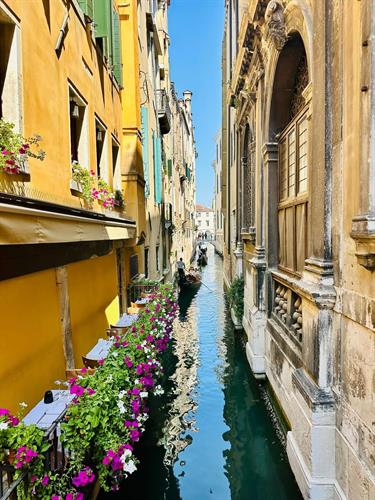 Gallery Image IMG_3396.jpeg