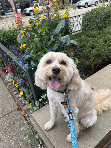 Gallery Image IMG_1407.JPG