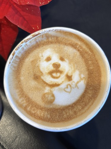 Gallery Image thumbnail_IMG_1724.jpg