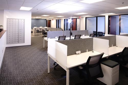 Dedicated Desks and Co-Working Space 
