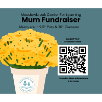 Meadowbrook Center For Learning Mum Fundraiser
