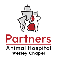 Partners Animal Hospital Wesley Chapel - Wesley Chapel