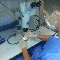 Eye Transplant Research