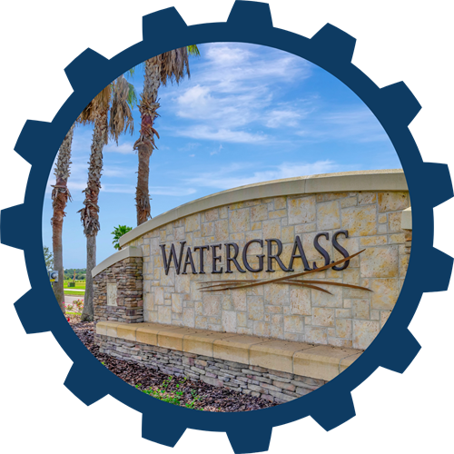 Watergrass