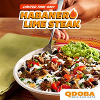 Qdoba Mexican Eats - Tampa