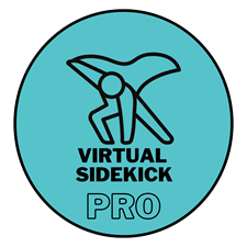 Virtual Sidekick Pro
