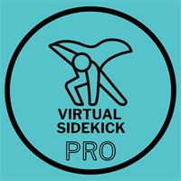 Virtual Sidekick Pro - WESLEY CHAPEL