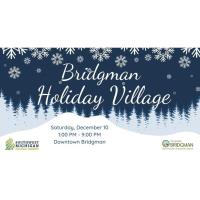Bridgman Holiday Village 