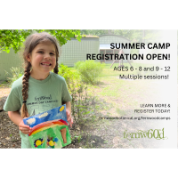 SUMMER CAMP: Fernwood Botanical Garden and Nature Preserve - Forest Transformed