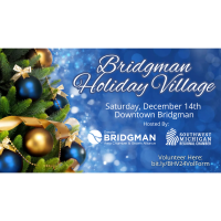 Bridgman Holiday Village 2024