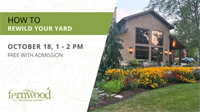 HOW TO REWILD YOUR YARD