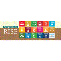 RISE UN Youth Corps Intern Reception and Research Poster Walk