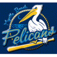Networking at Noon! Myrtle Beach Pelicans Baseball Game