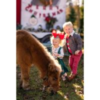 Trotting Around the Christmas Trees!