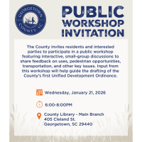 Public workshop focused on shaping Georgetown County’s first Unified Development Ordinance