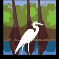 Hiking at Black River Cypress Preserve Peninsula Tract