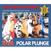 Georgetown County Polar Plunge 2026