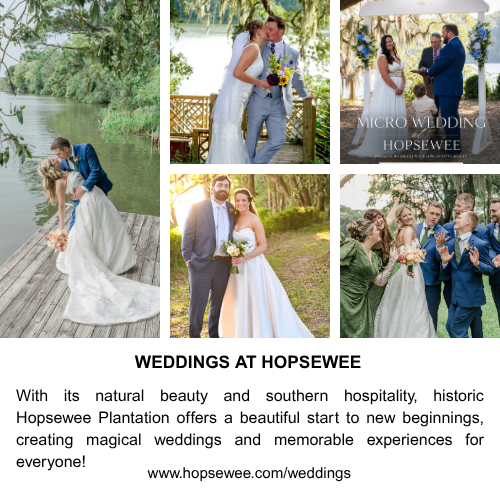 Gallery Image Weddings_at_Hopsewee.png