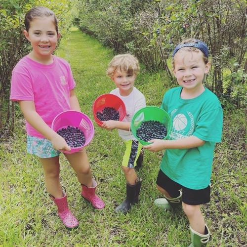 All ages love to pick blueberries.  From kids....