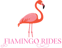 Flamingo Rides