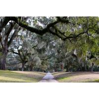 Tidelands Health launches free ’Walk With a Doc’ monthly program at Brookgreen Gardens 