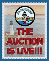 New England Ukulele Festival Auction Goes Live to Support Music Therapy for Hospitalized Children
