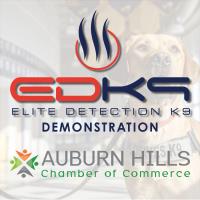 Elite Detection K9 Demonstration