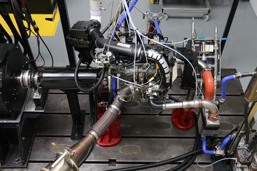 Gallery Image IMG_6525.JPG