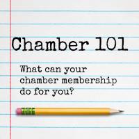 Chamber 101