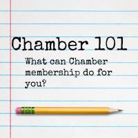 Chamber 101