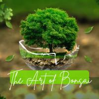 The Art of Bonsai