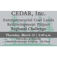 CEDAR Regional Challenge 2020
