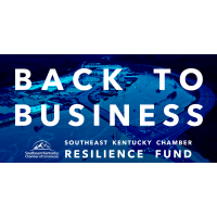 Back to Business, Chamber Resilience Fund