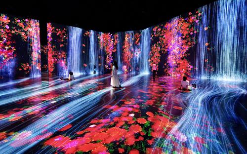 teamLab's "Flowers and People, Cannot be Controlled but Live Together"